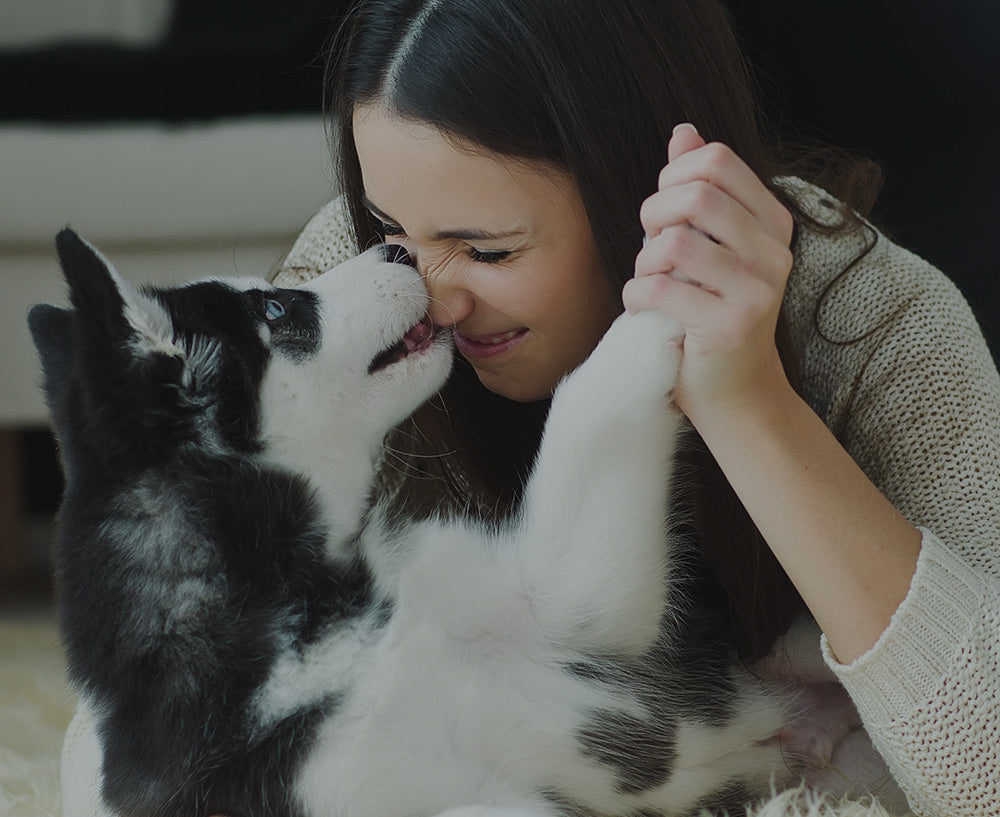 SANS COLORANTS NI INGRÉDIENTS ARTIFICIELS