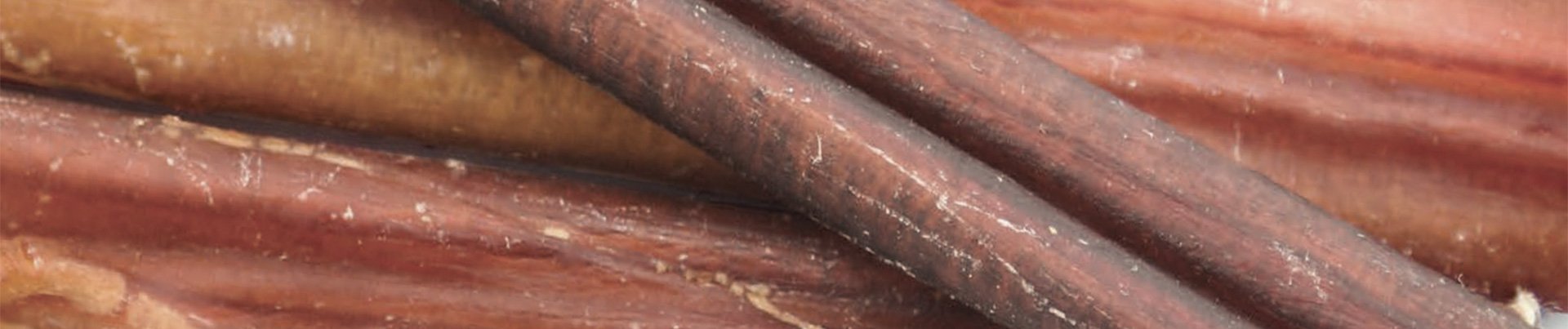 Bully sticks et pénis