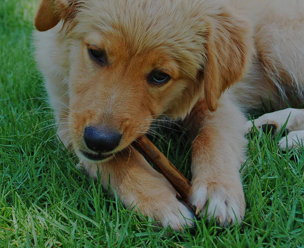 PRÉPARÉ NATURELLEMENT