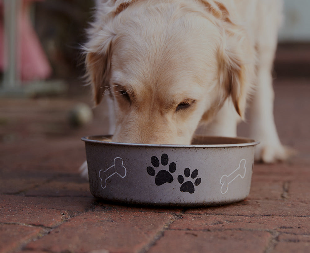 Alimentation rotative