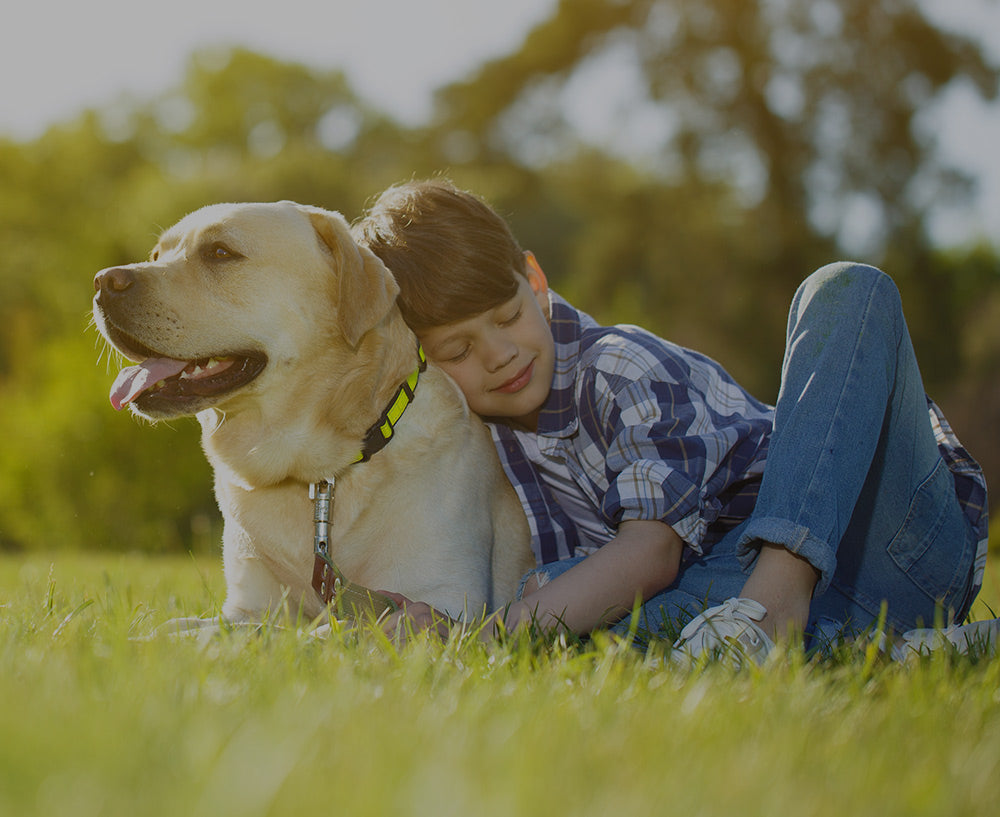CRITÈRES RÉGLEMENTAIRES