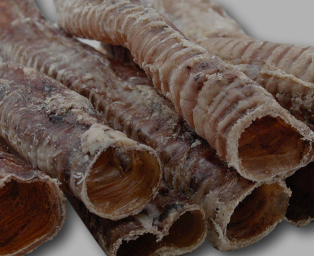 TRACHÉE ET OESOPHAGE