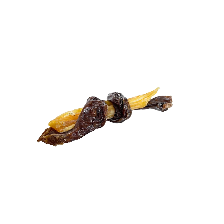 Sangle Arrière Enrobée Chomper