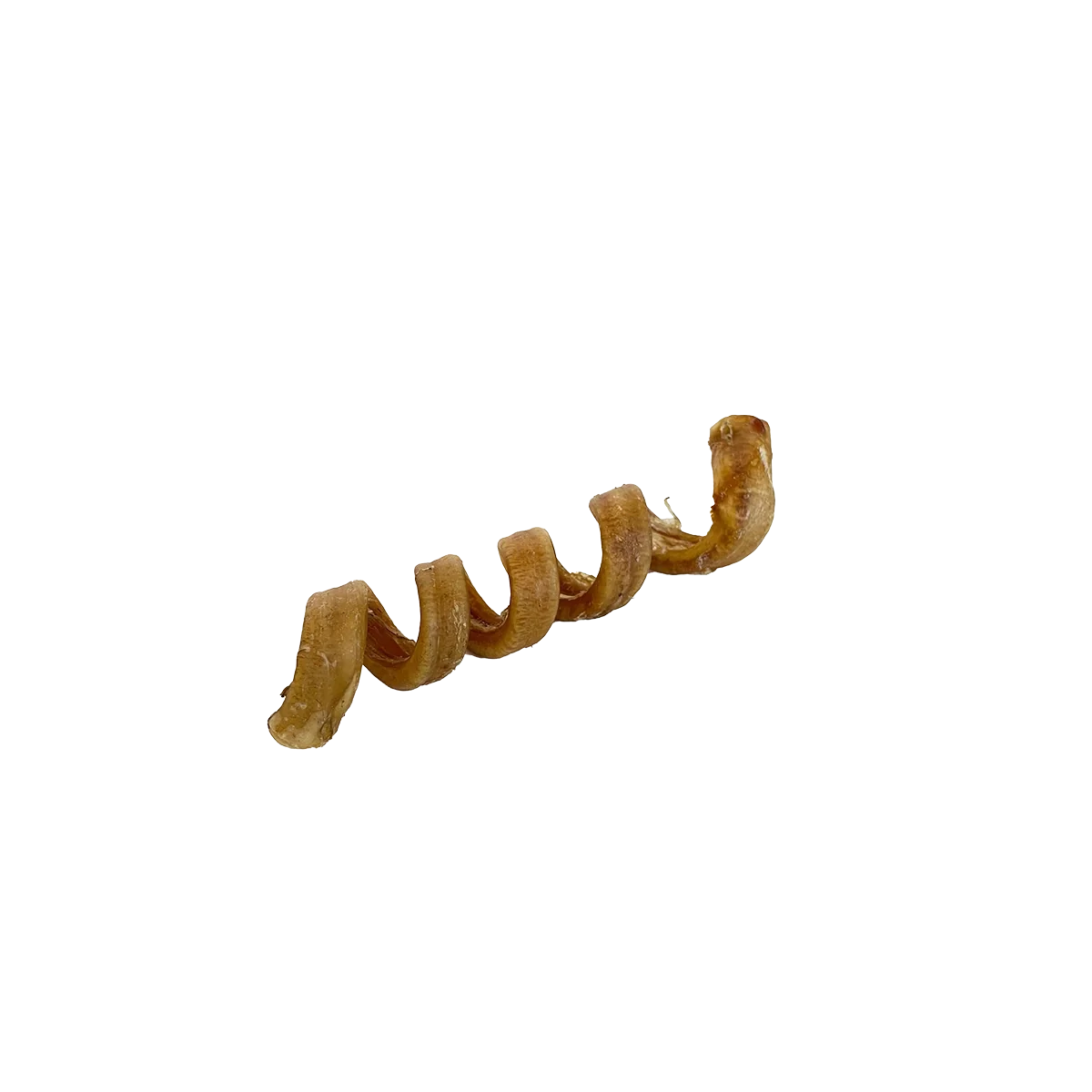 Spirale de buffle d'eau 6-7"