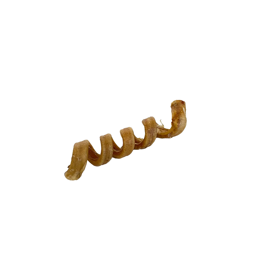 Spirale de buffle d'eau 6-7"