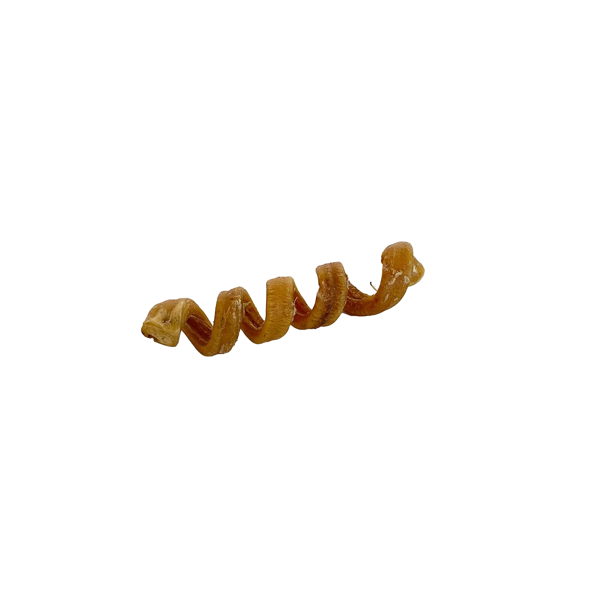 Spirale de buffle d'eau 6-7"