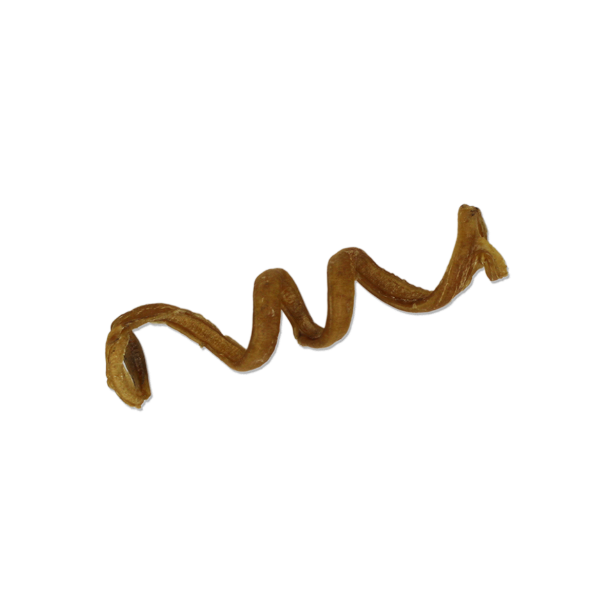 Spirales de buffle d'eau 6"